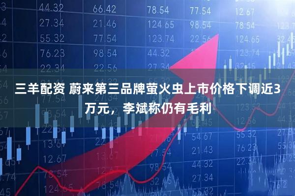 三羊配资 蔚来第三品牌萤火虫上市价格下调近3万元，李斌称仍有毛利