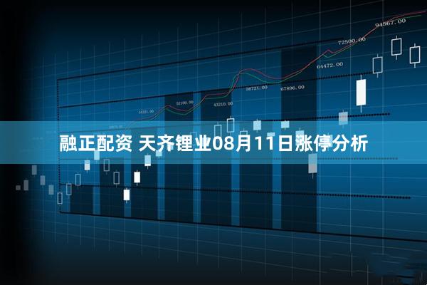 融正配资 天齐锂业08月11日涨停分析