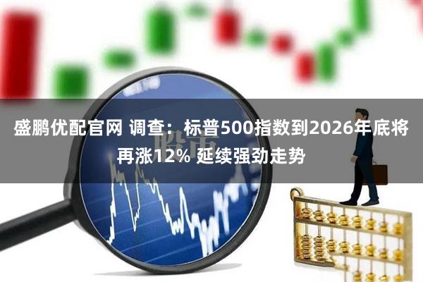 盛鹏优配官网 调查：标普500指数到2026年底将再涨12% 延续强劲走势