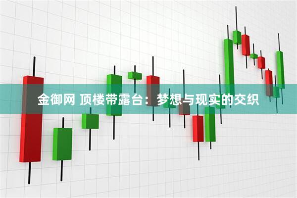 金御网 顶楼带露台：梦想与现实的交织